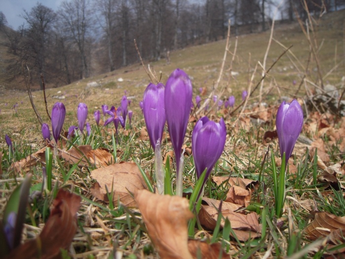 /Vanturarita_03_11/dsc_0013.jpg