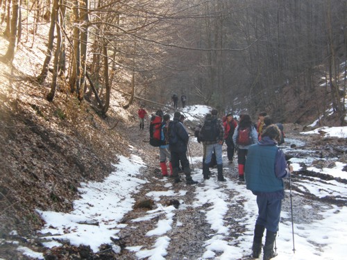 Carpati.org
