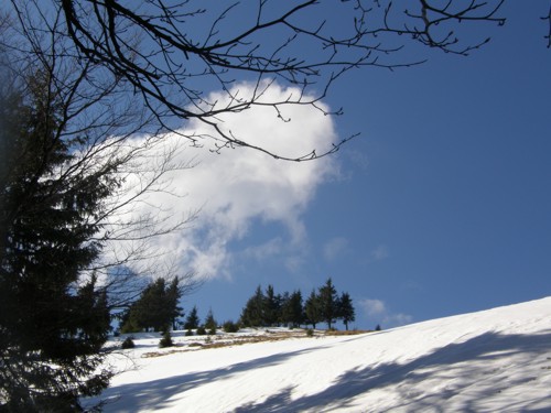 Carpati.org