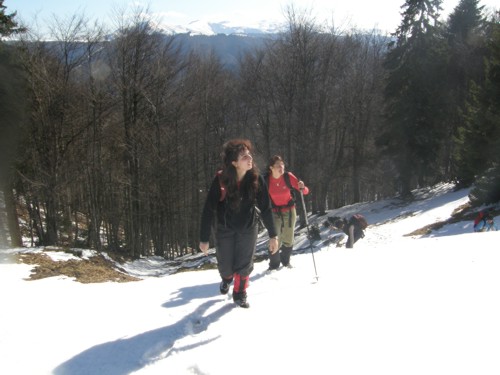 Carpati.org