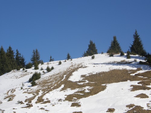 Carpati.org