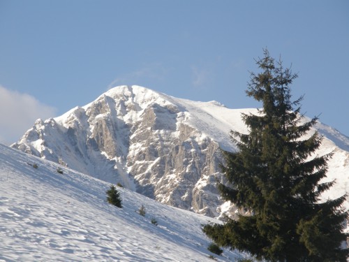 Carpati.org