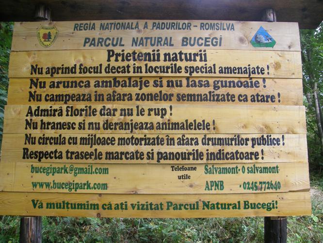 /Jurnal/ju019.jpg