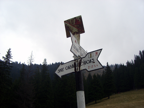 Carpati.org