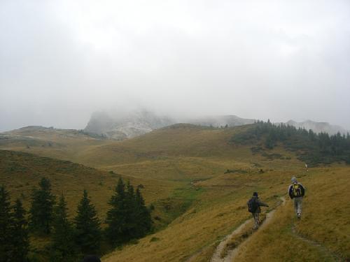 Carpati.org