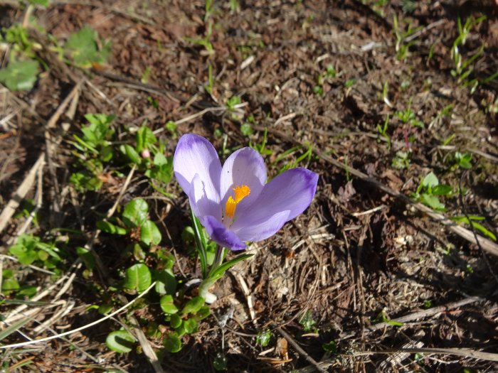 /malin20130507/brandusa.jpg