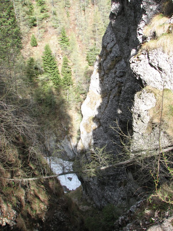 /malin20130507/hornsus.jpg