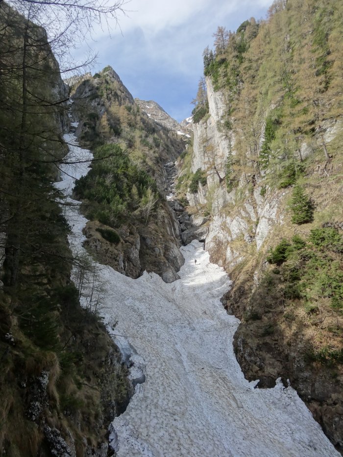 /malin20130507/malincolti.jpg