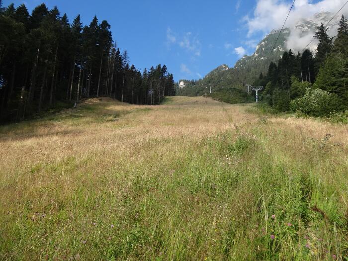 /vsc20130804/08-16-35_ionut_dsc03435.jpg