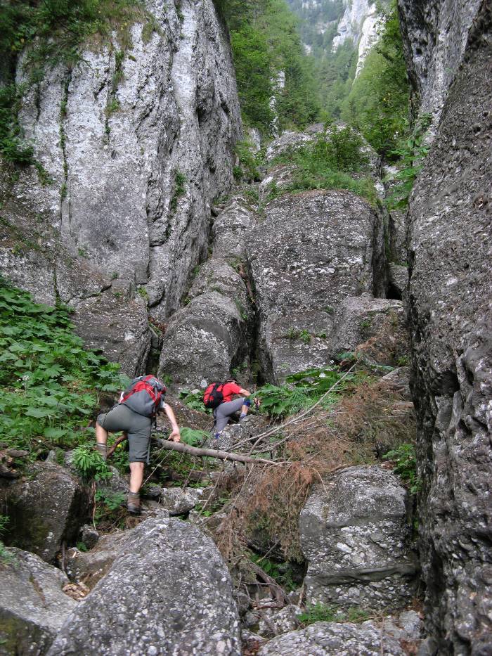 /vsc20130804/09-01-59_silviu_img_2048.jpg