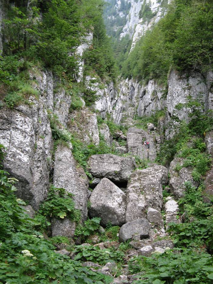 /vsc20130804/09-15-04_silviu_img_2055.jpg
