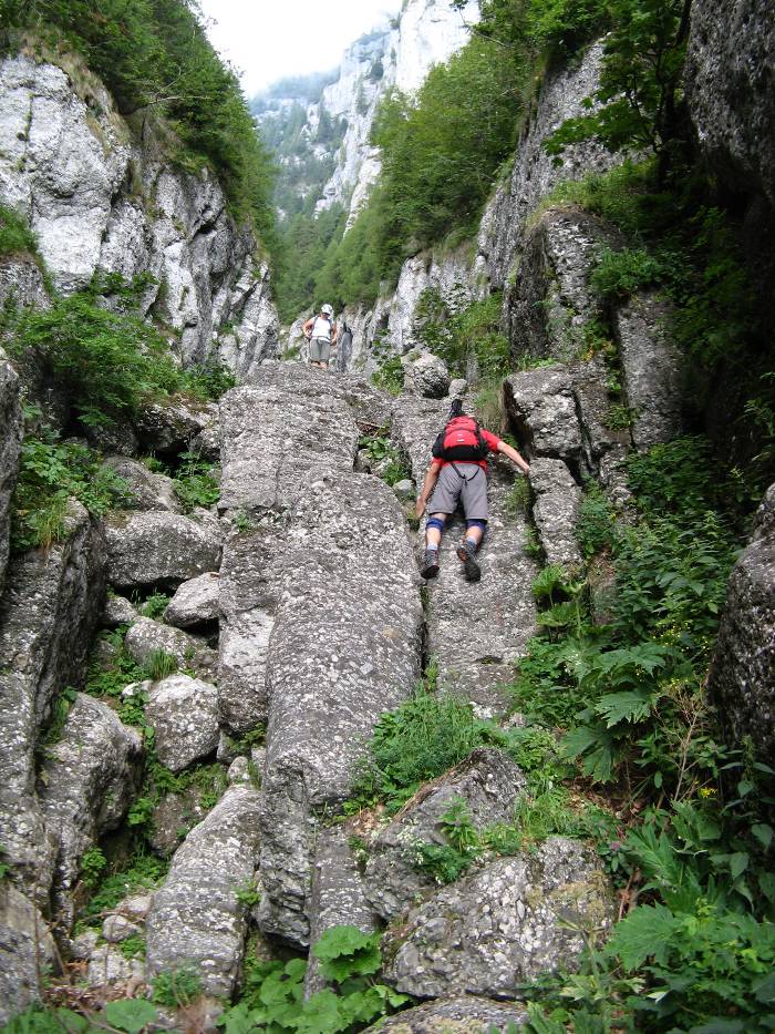/vsc20130804/09-20-07_silviu_img_2061.jpg
