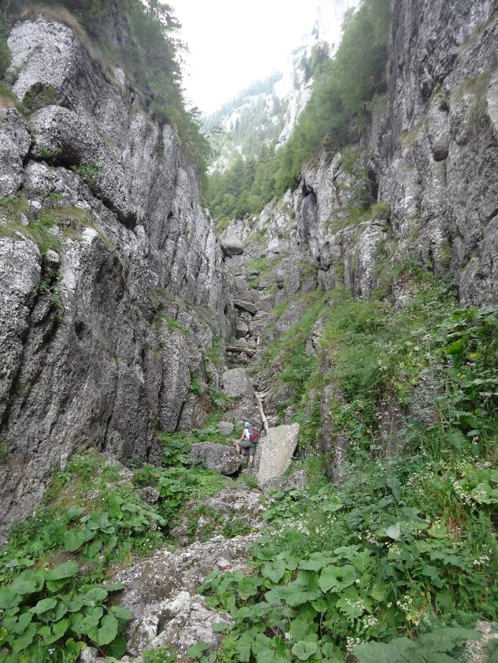 /vsc20130804/09-31-21_ionut_dsc03443.jpg