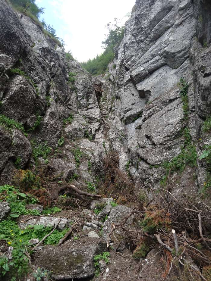/vsc20130804/09-49-57_ionut_dsc03449.jpg