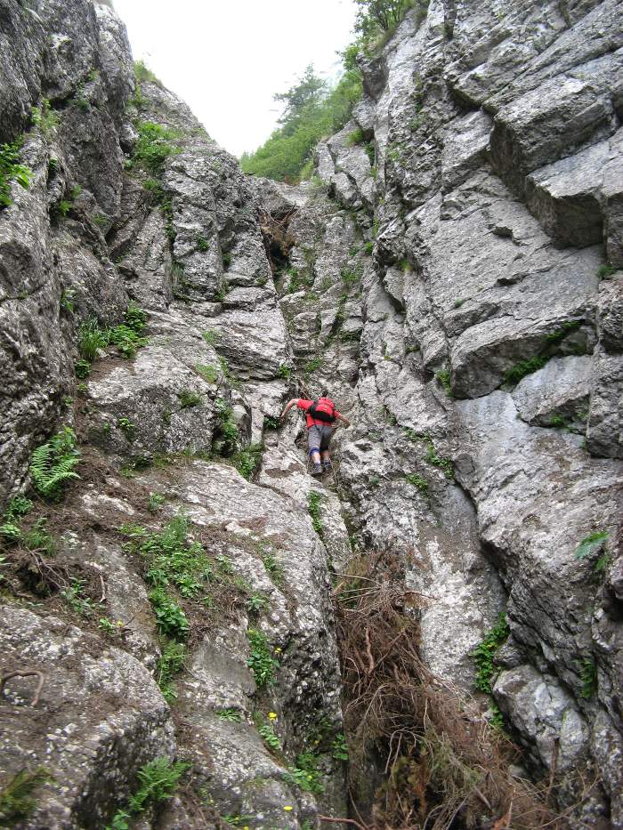 /vsc20130804/09-55-44_silviu_img_2086.jpg