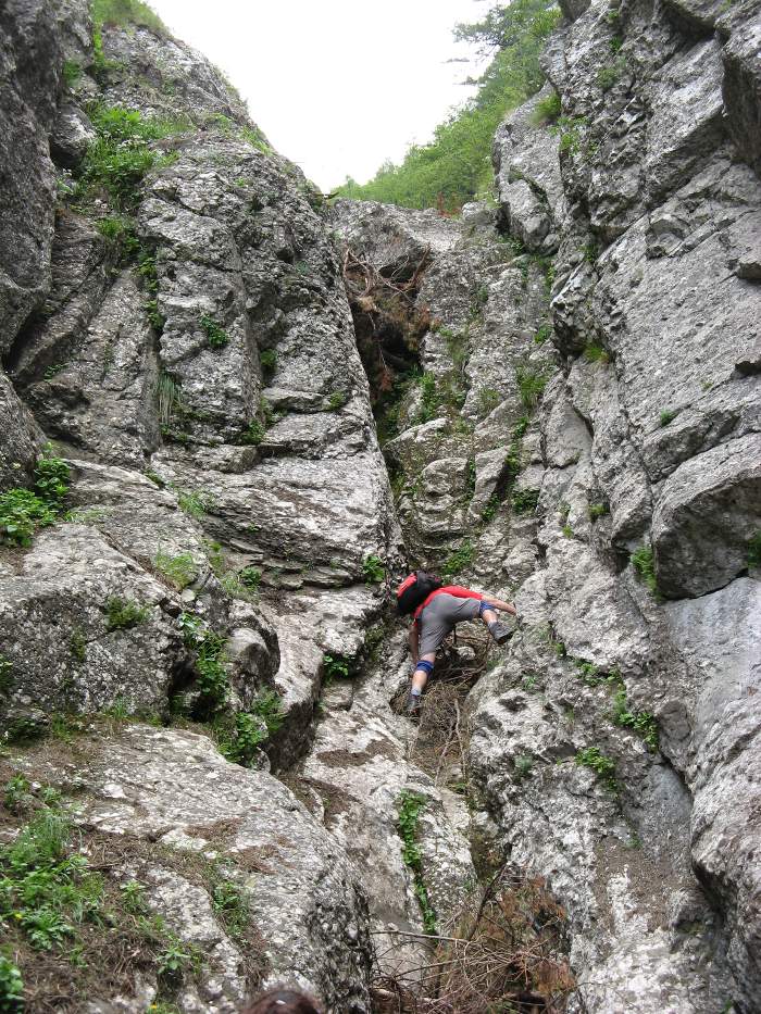 /vsc20130804/09-56-06_silviu_img_2089.jpg