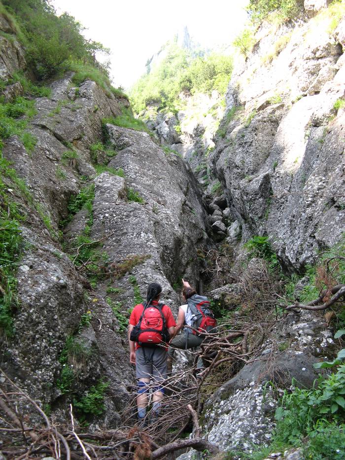 /vsc20130804/10-49-58_silviu_img_2093.jpg