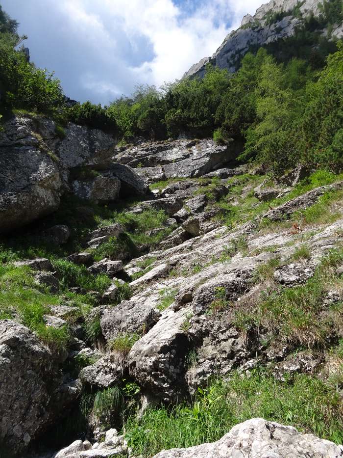 /vsc20130804/11-28-09_ionut_dsc03468.jpg