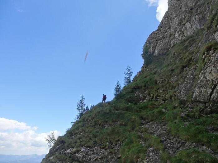 /vsc20130804/13-25-47_ionut_dsc03490.jpg