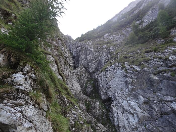 /vsc20130804/13-40-28_ionut_dsc03500.jpg