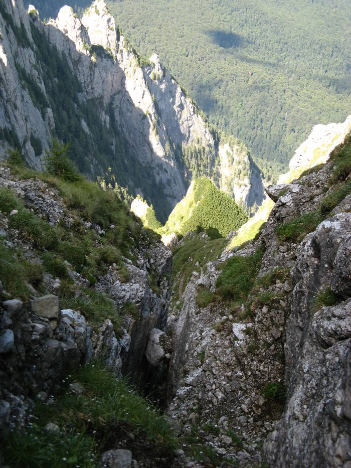 /vsc20130804/15-37-17_silviu_img_2213.jpg
