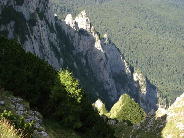 /vsc20130804/15-59-49_silviu_img_2236.jpg