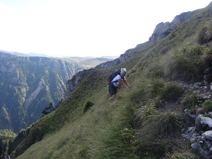 /vsc20130804/16-28-39_ionut_dsc03525.jpg