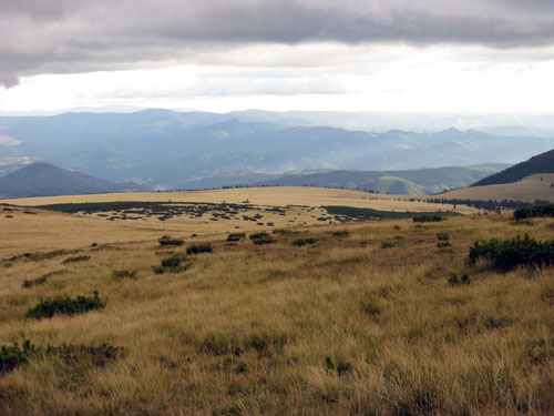 Carpati.org