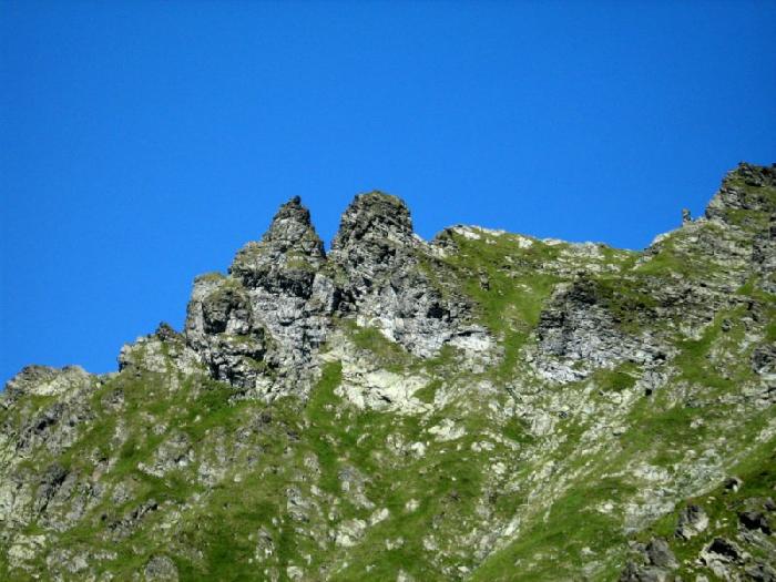 /v/img_1614.jpg