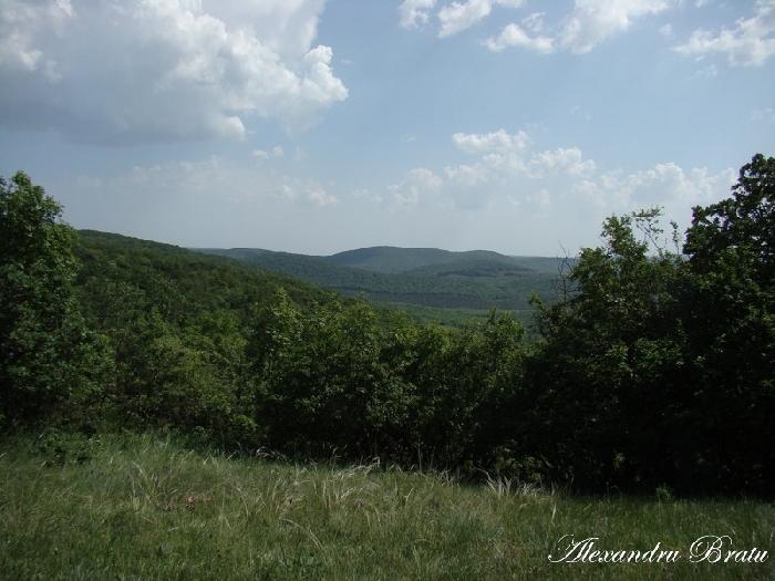 /Dobrogea/dsc07561.jpg