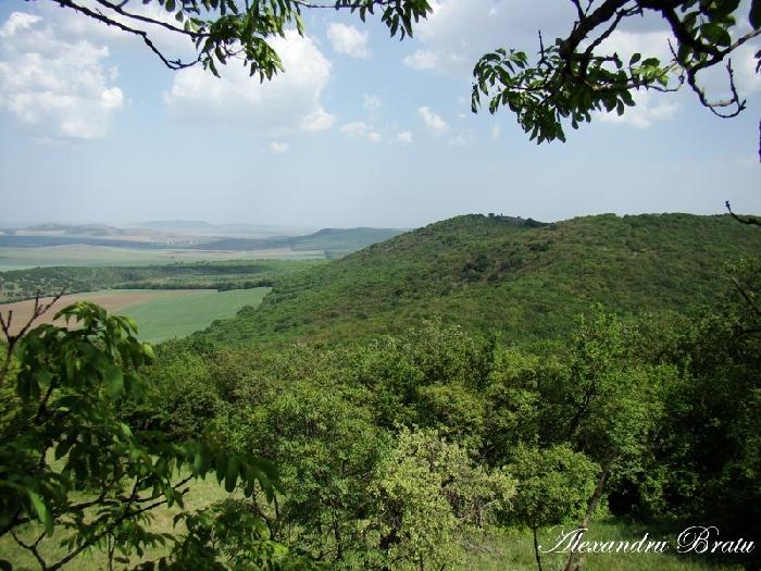 /Dobrogea/dsc07590.jpg