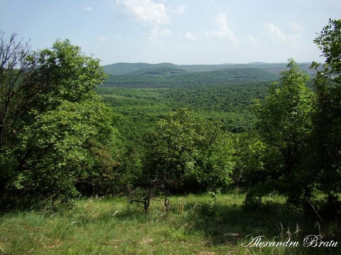 /Dobrogea/dsc07897.jpg
