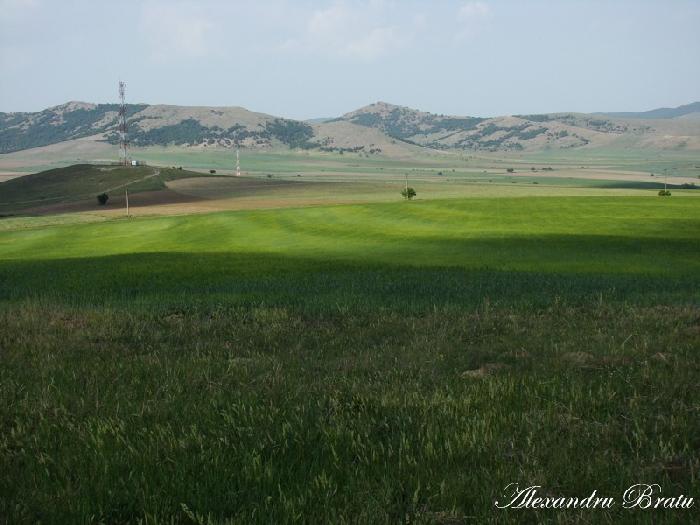 /Dobrogea/dsc07909.jpg