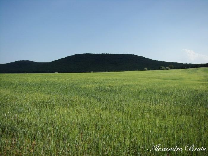 /Dobrogea/dsc07927.jpg
