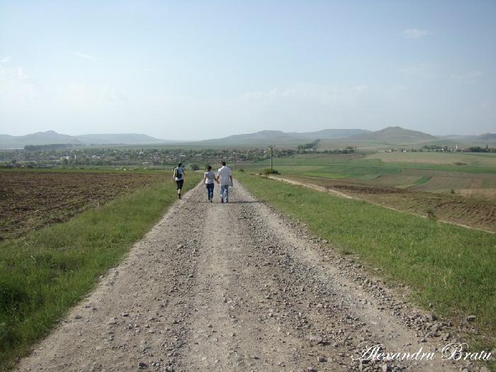 /Dobrogea/dsc07929.jpg