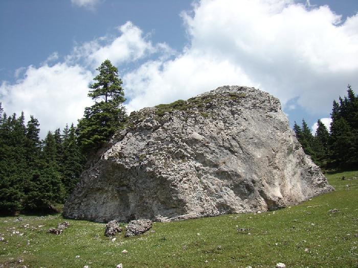 /hasmas/dsc03496.jpg