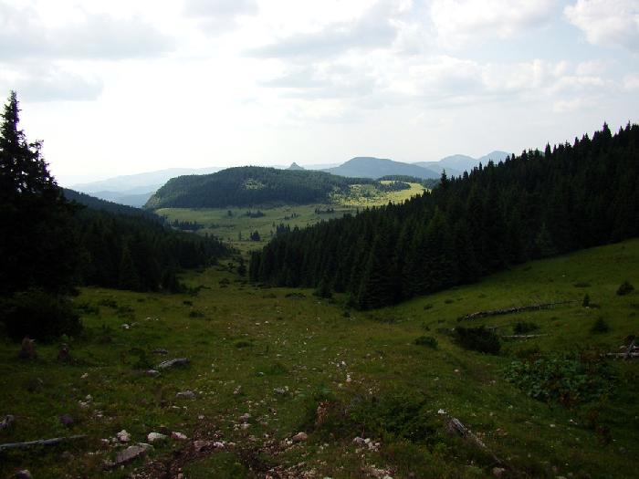 /hasmas/dsc03520.jpg