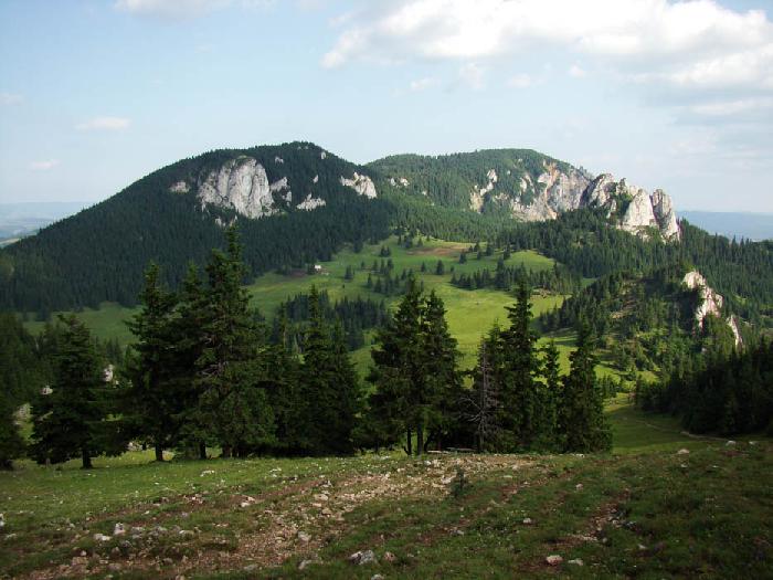 /hasmas/dsc03535.jpg