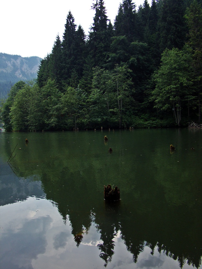 /hasmas/dsc03630.jpg