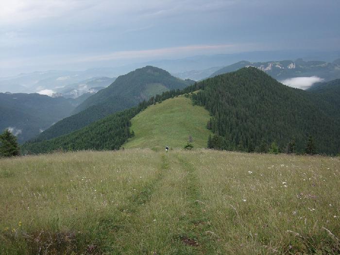 /hasmas/dsc03724.jpg