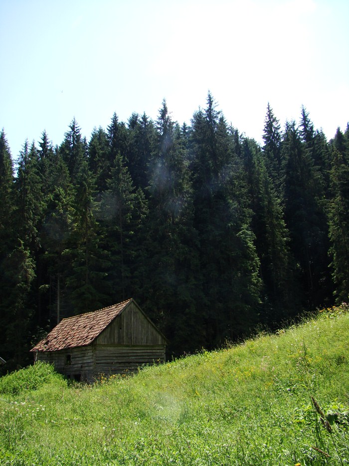 /hasmas/dsc03861.jpg