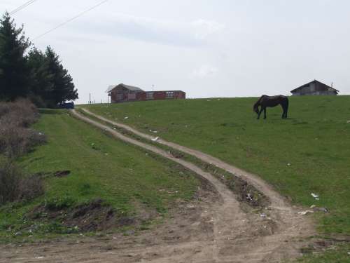 Carpati.org