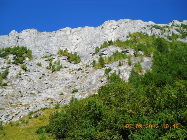 /alba/dscn2632.jpg