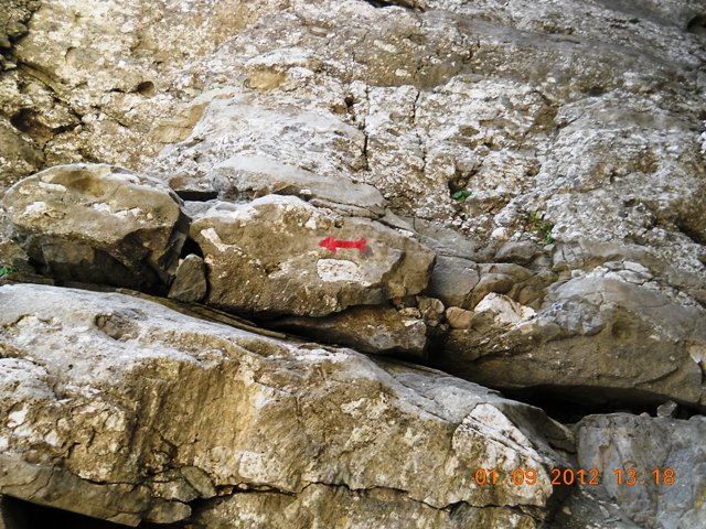 /alba/dscn2724.jpg