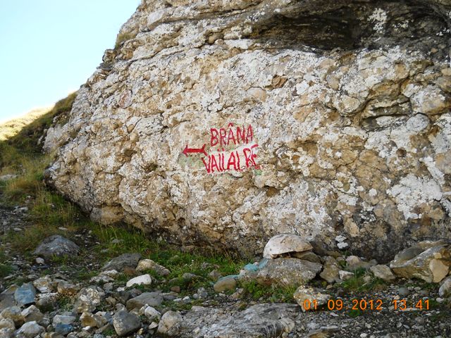 /alba/dscn2738.jpg