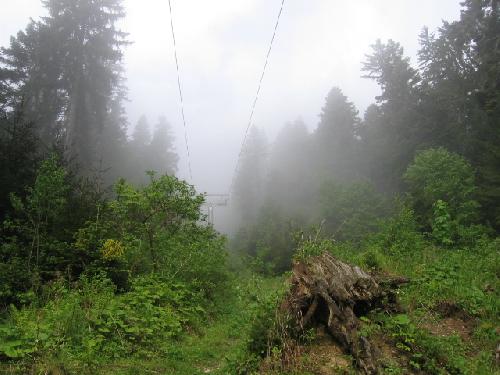 Carpati.org