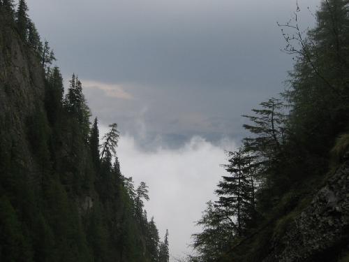Carpati.org