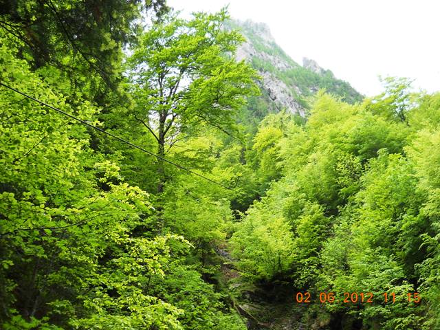 /jepii/dscn1429.jpg