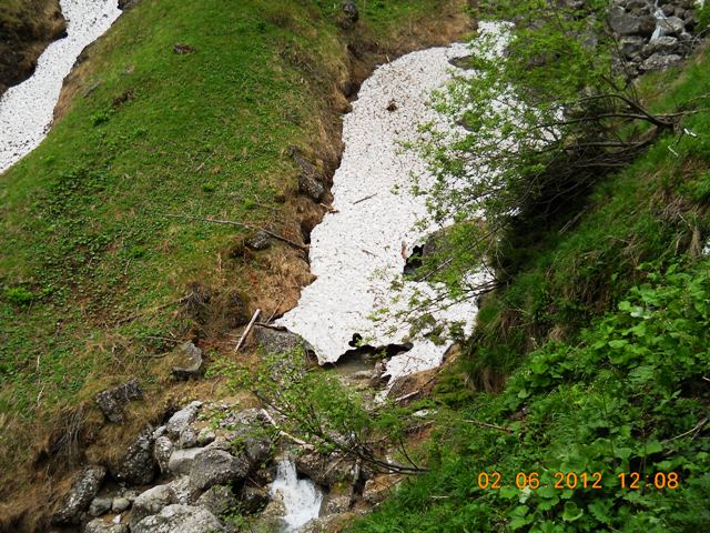 /jepii/dscn1439.jpg
