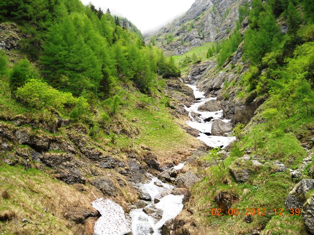 /jepii/dscn1462.jpg